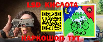 гашик Берёзовский